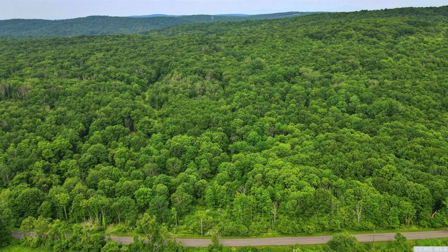 0 Doodletown Road Ancram, NY 12502 - Photo 14 of 16 Photo 14