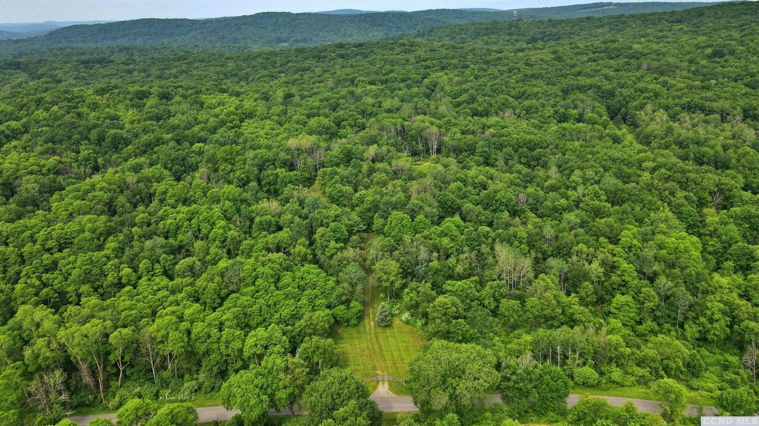 0 Doodletown Road Ancram, NY 12502 - Photo 15 of 16 Photo 15