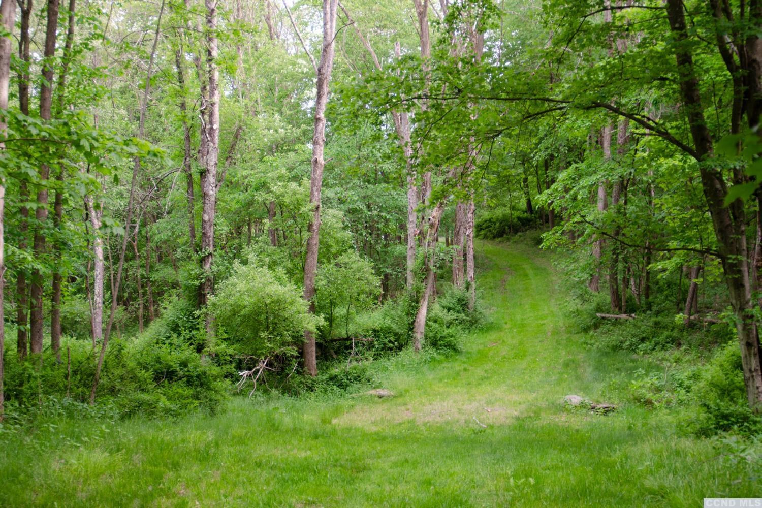 0 Doodletown Road Ancram, NY 12502 - Photo 3 of 16 Photo 3