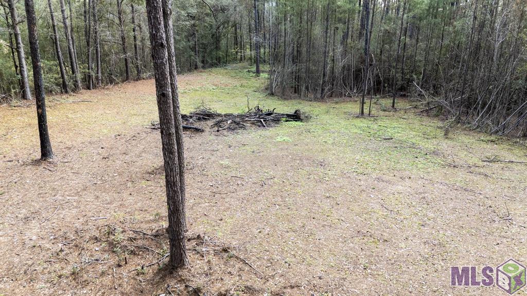 11542 Browns Road Folsom, LA 70437 - Photo 1 of 16