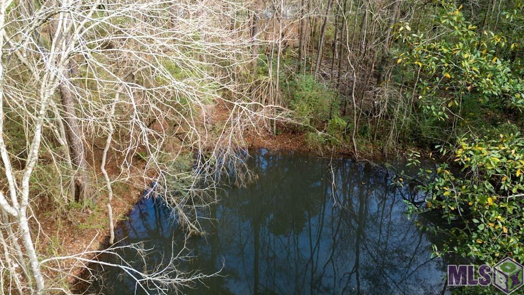 11542 Browns Road Folsom, LA 70437 - Photo 14 of 16