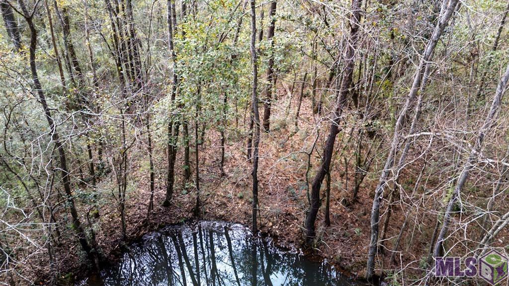 11542 Browns Road Folsom, LA 70437 - Photo 15 of 16