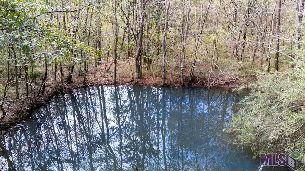 11542 Browns Road Folsom, LA 70437 - Photo 16 of 16