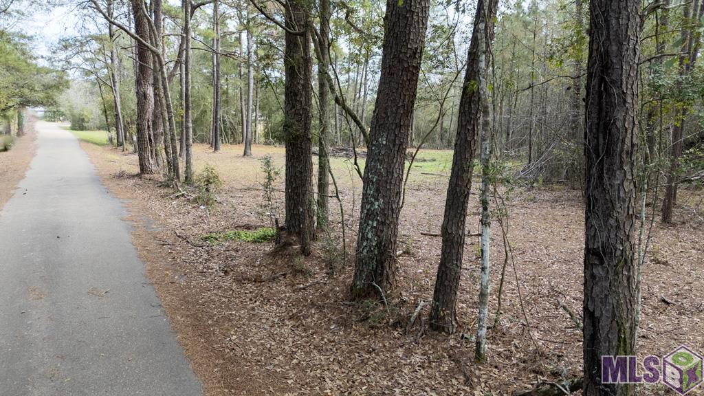 11542 Browns Road Folsom, LA 70437 - Photo 2 of 16