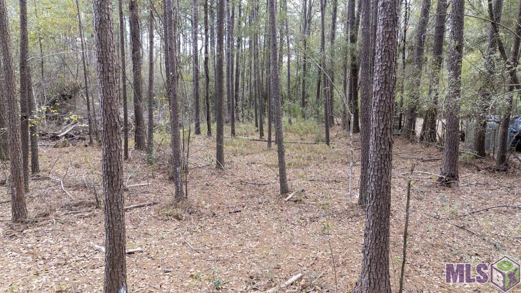 11542 Browns Road Folsom, LA 70437 - Photo 3 of 16