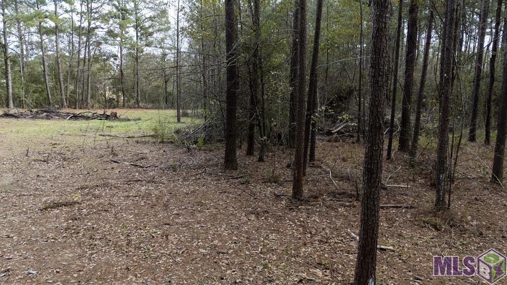 11542 Browns Road Folsom, LA 70437 - Photo 4 of 16