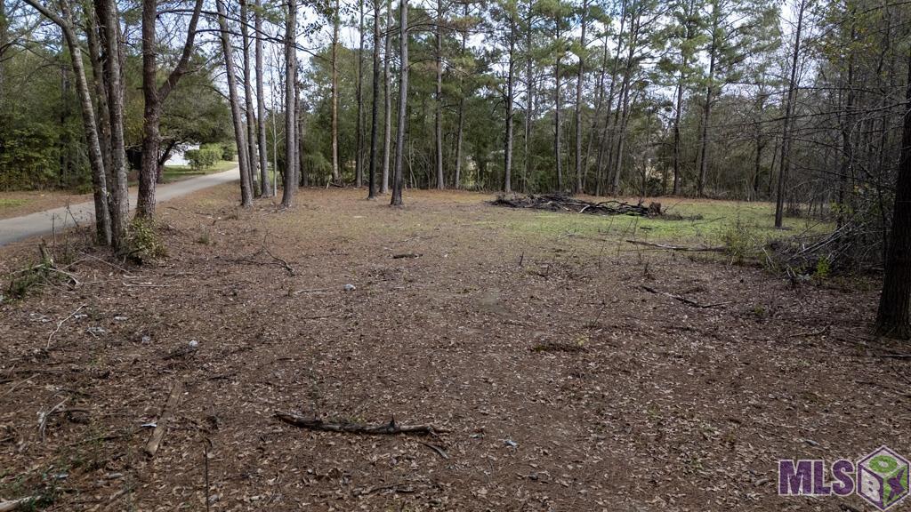 11542 Browns Road Folsom, LA 70437 - Photo 5 of 16