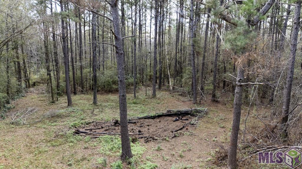 11542 Browns Road Folsom, LA 70437 - Photo 6 of 16