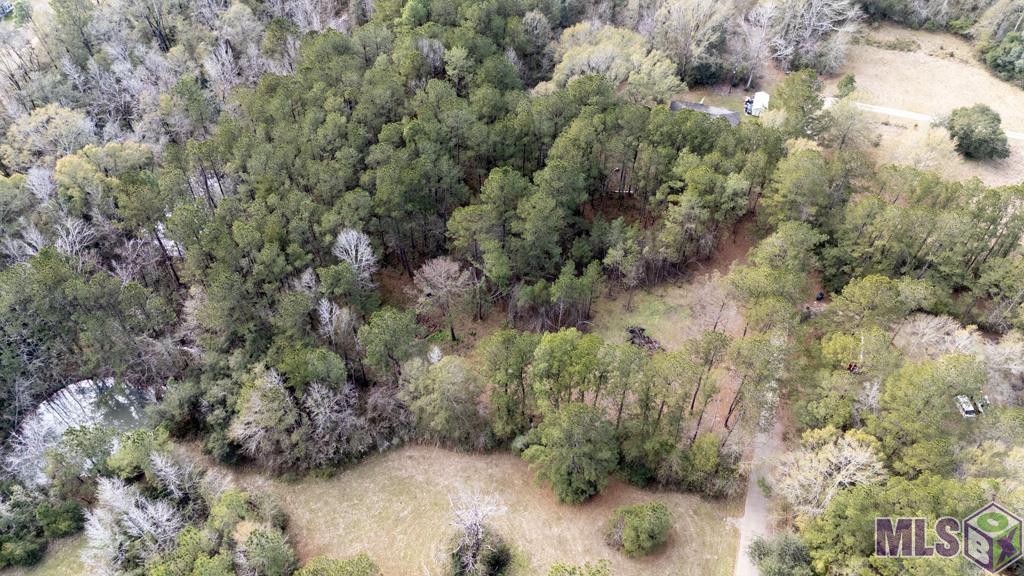 11542 Browns Road Folsom, LA 70437 - Photo 8 of 16