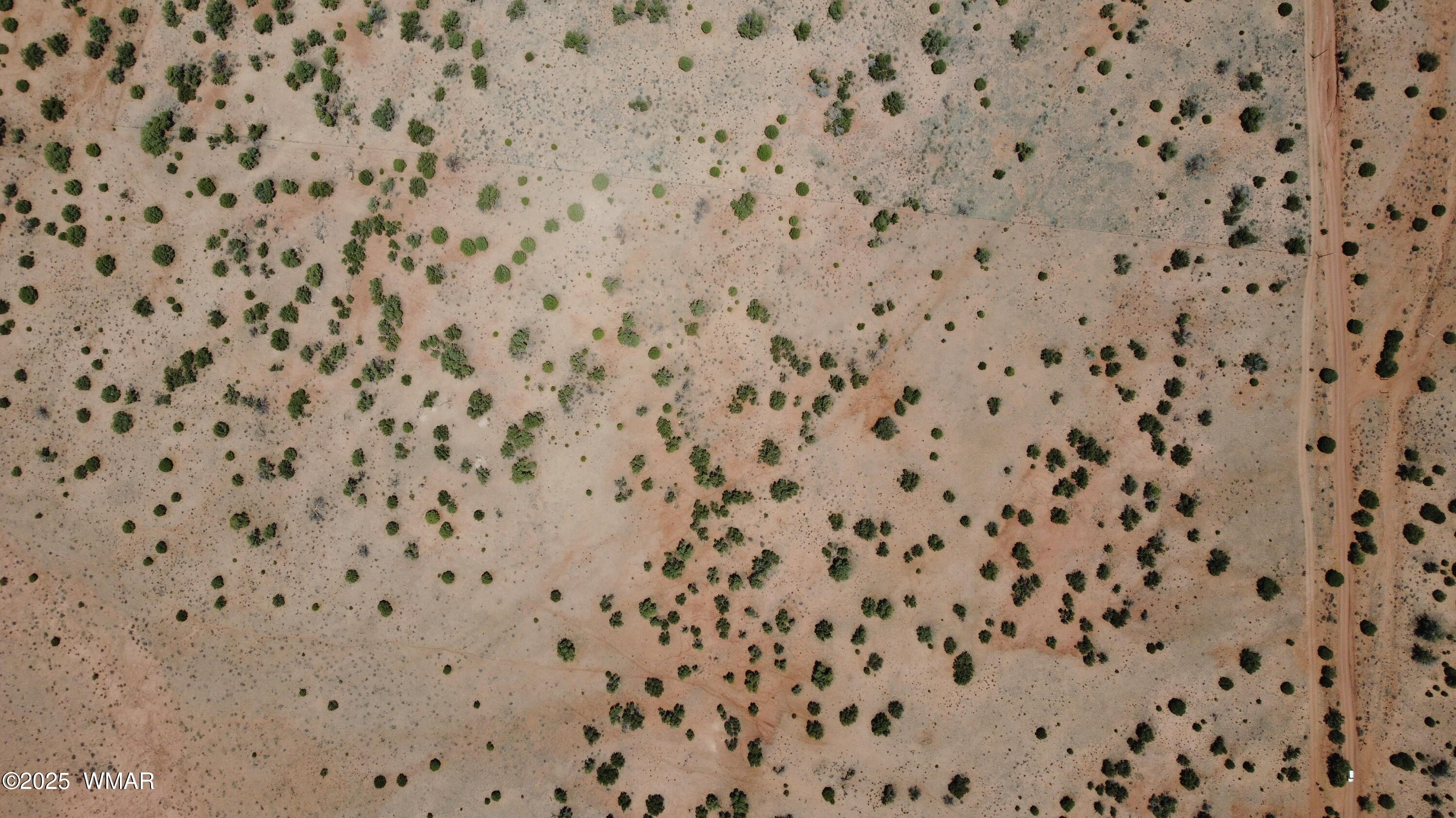 Tbd Tbd Rio Ranch Concho, AZ 85924 - Photo 35 of 44 DJI_0095