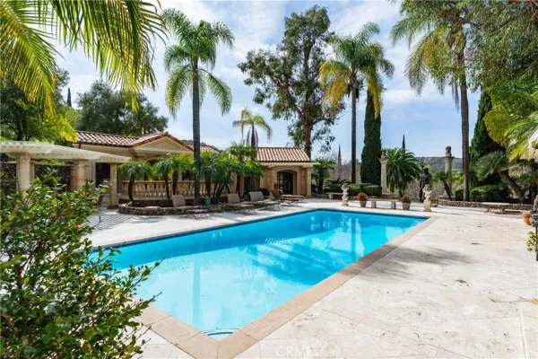 a view of a swimming pool with a patio and a garden