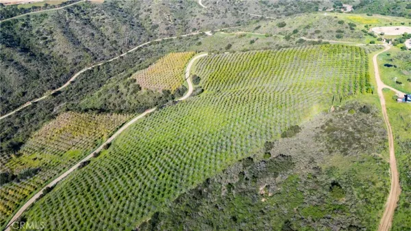 $25,000,000 | 39250 Ortega Highway, San Juan Capistrano, CA 92675