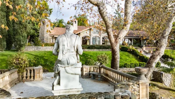 a view of a yard with potted plants