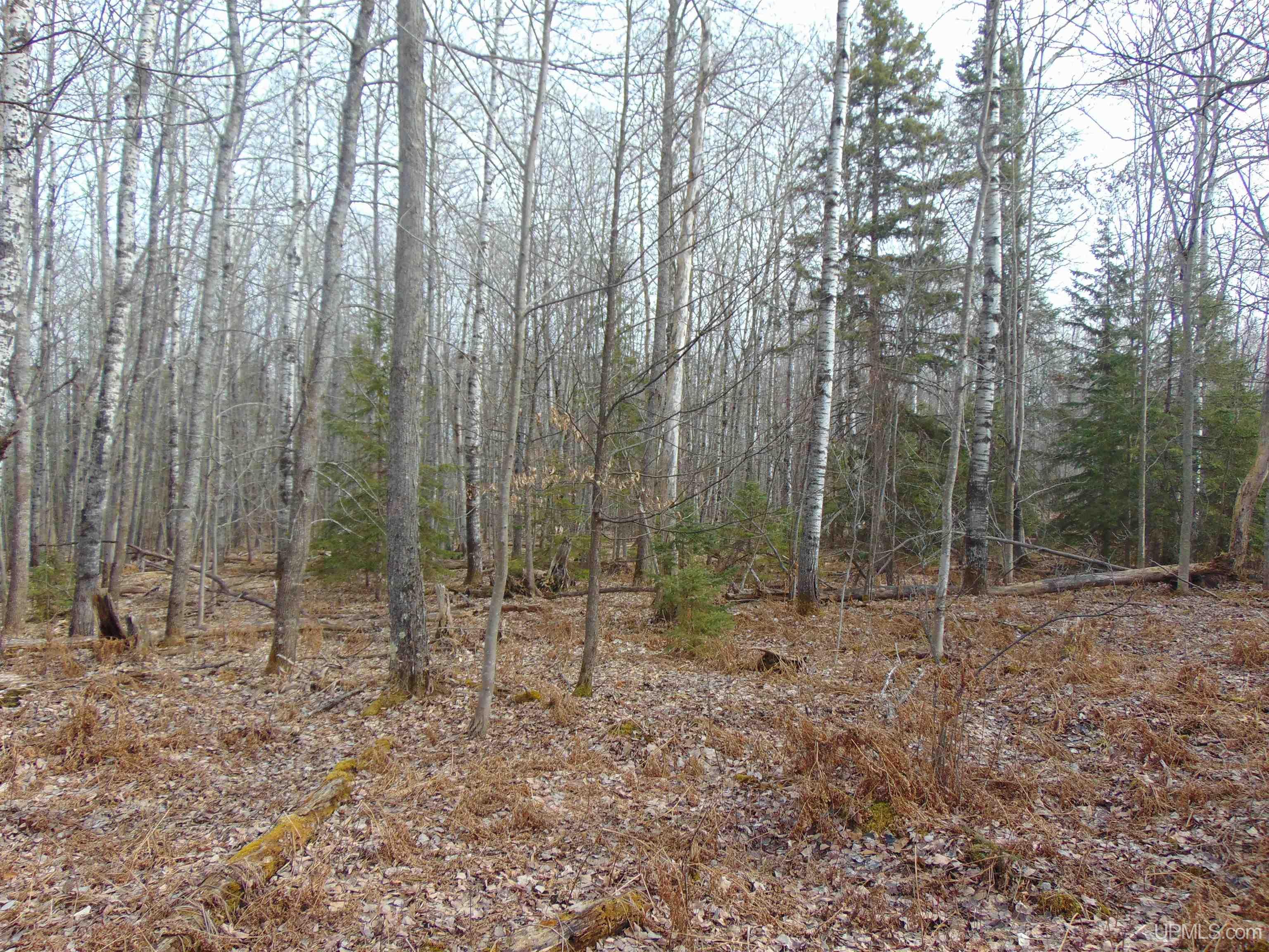 20 Grenlund Road Bruce Crossing, MI 49912 - Photo 5 of 18