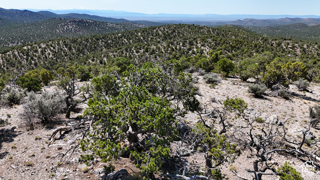 123 Tbd Prout Wash Road North Cedar City, UT 84721 - Photo 72 of 82