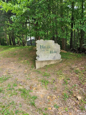 a view of a tree with a yard