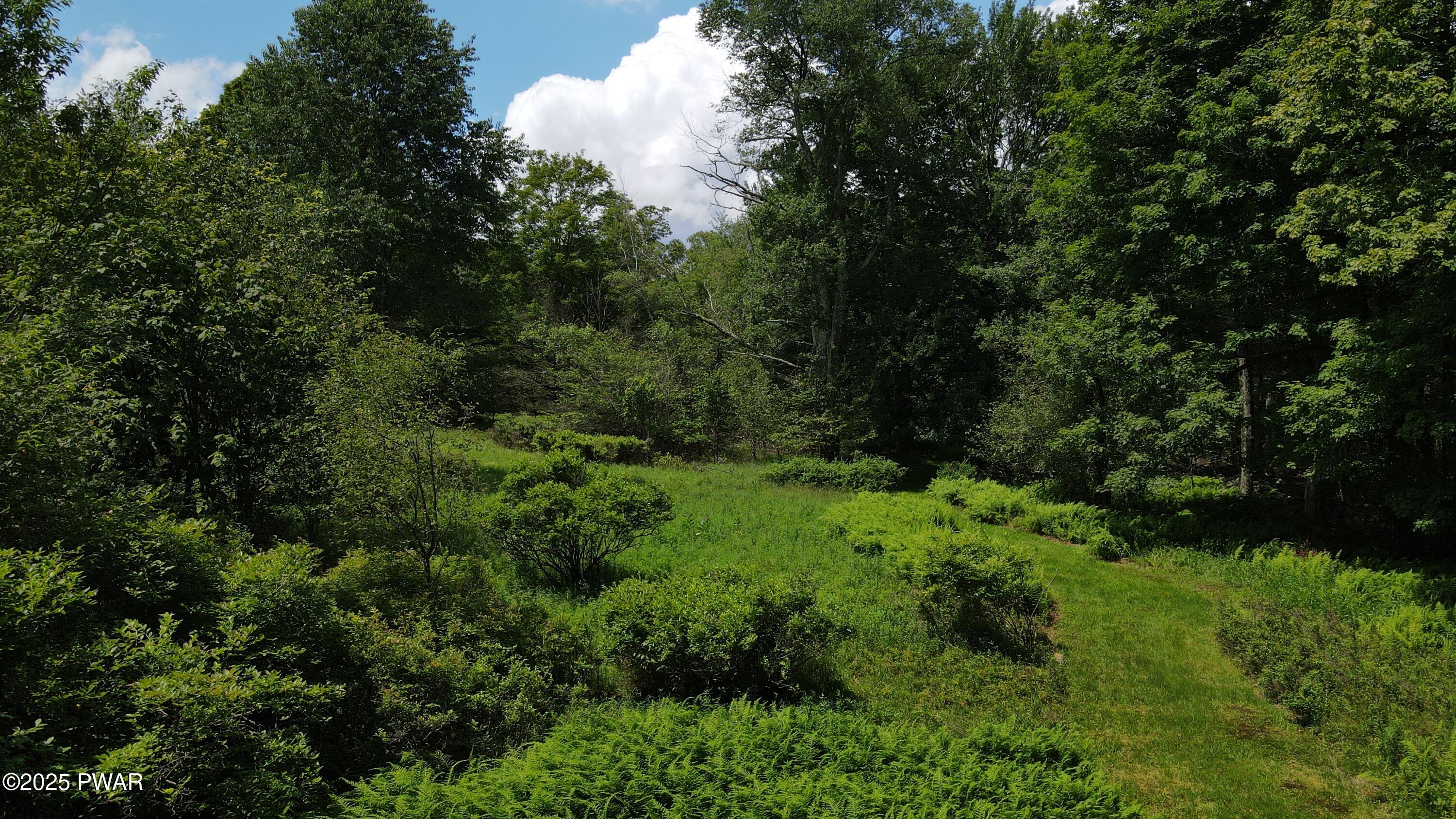 156 Mozzette Road Greentown, PA 18426 - Photo 13 of 88 DJI_0208