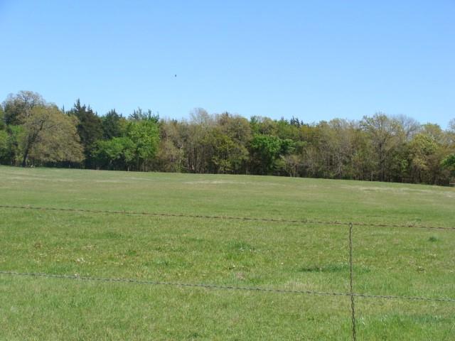 0 Fleming Road Bells, TX 75414 - Photo 2 of 4 Land is fenced
