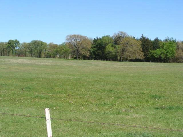0 Fleming Road Bells, TX 75414 - Photo 3 of 4 A blank canvas and ready for Ag, recreational or to simply enjoy a quiet life in your dream home!