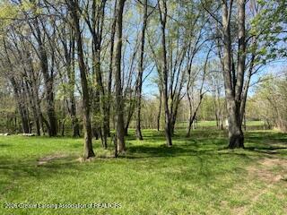 2092 Arch Road Eaton Rapids, MI 48827 - Photo 28 of 37 IMG_8121
