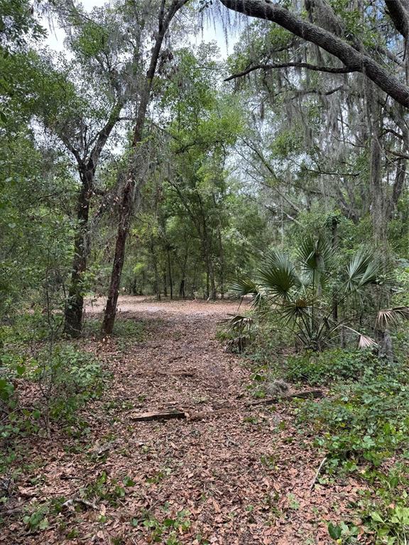 3101 Bruton Road Plant City, FL 33565 - Photo 8 of 13
