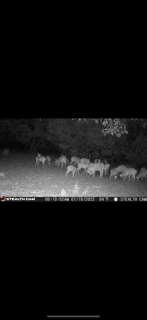 695 Big Shades Road Concan, TX 78838 - Photo 25 of 27