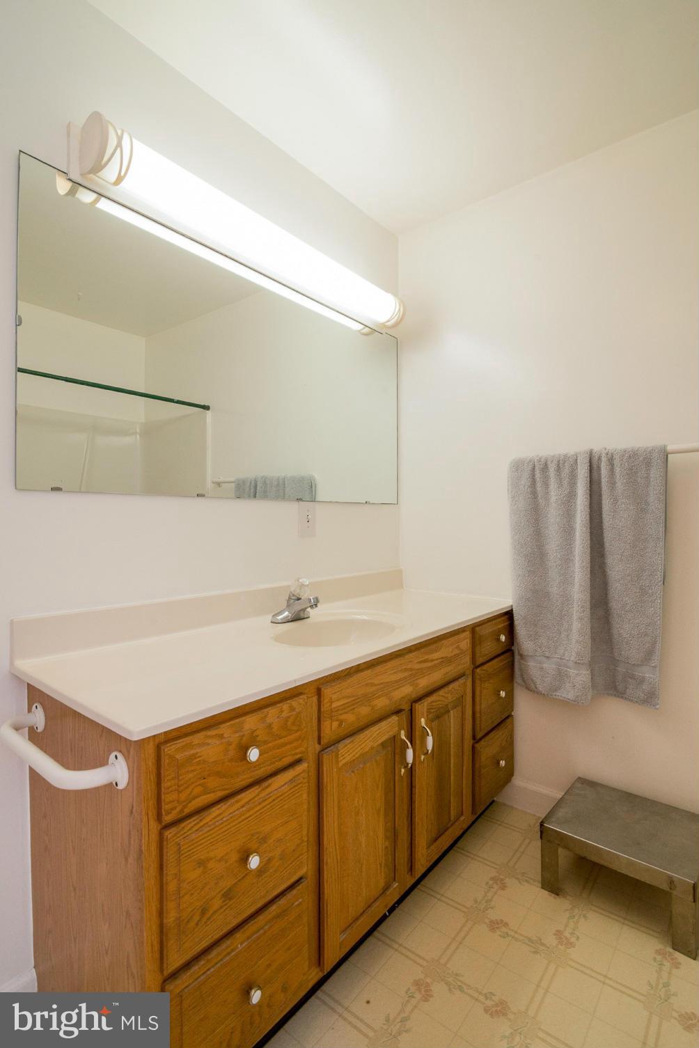 4011 Mills Road Sharpsburg, MD 21782 - Photo 20 of 30 Bath (Master)