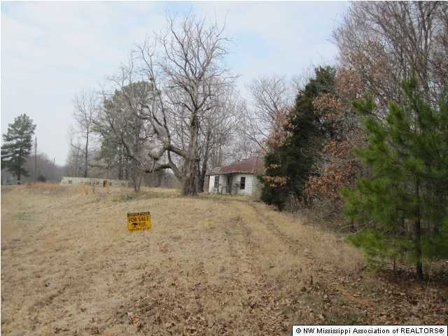 428 Bend Road Coldwater, MS 38618 - Photo 1 of 18 Primary Photo