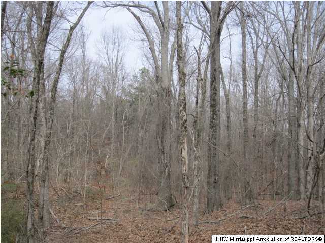 428 Bend Road Coldwater, MS 38618 - Photo 4 of 18 Additional Photo