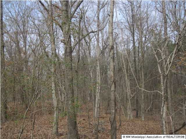 428 Bend Road Coldwater, MS 38618 - Photo 10 of 18 Additional Photo
