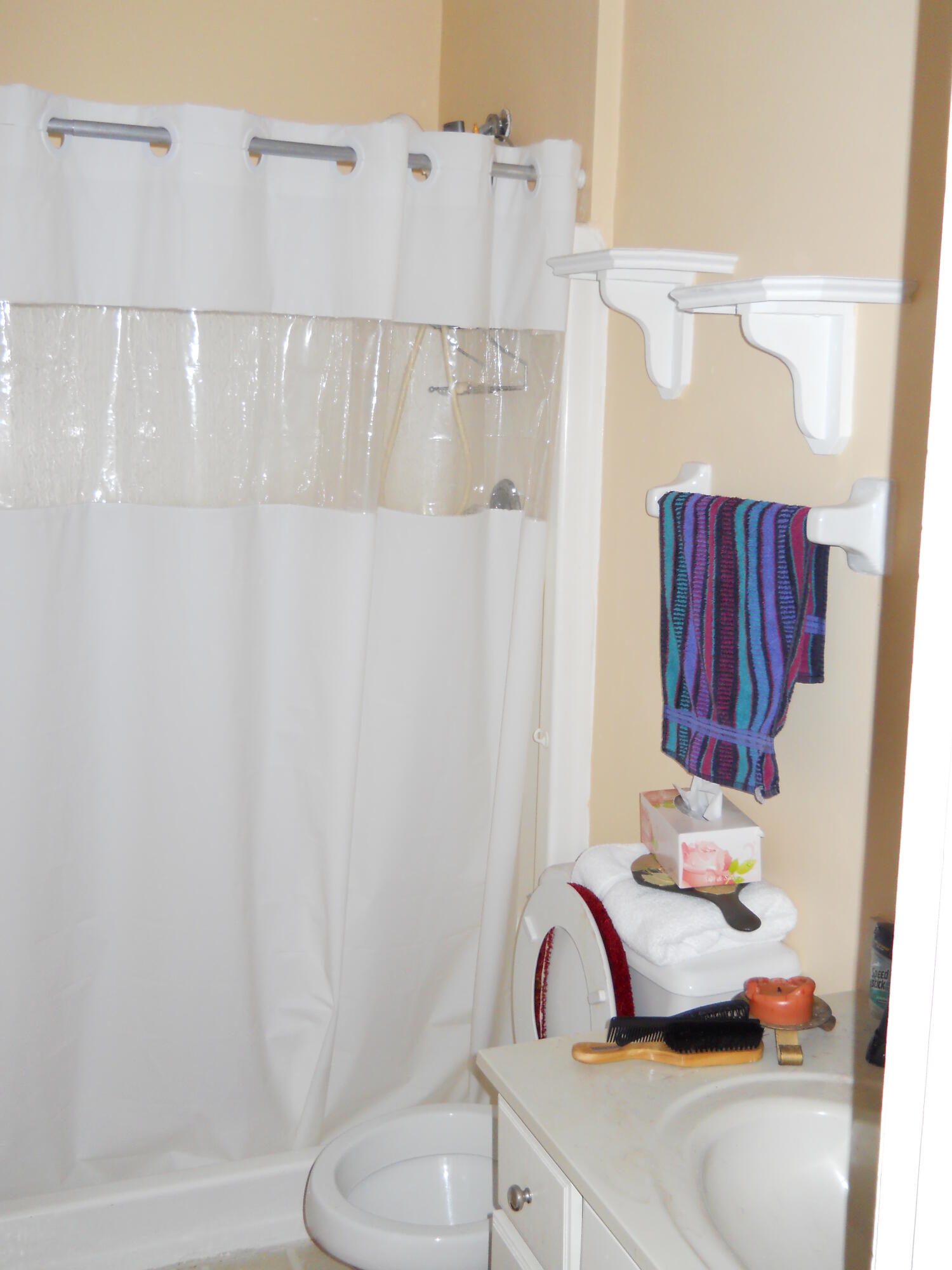 3513 Tree Ridge Lane Northeast Palm Bay, FL 32905 - Photo 13 of 16 a bathroom with a sink toilet and shower