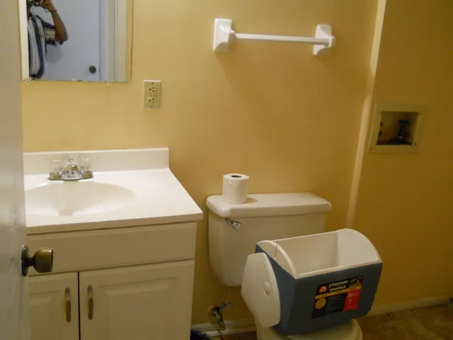 a bathroom with a sink a toilet and mirror