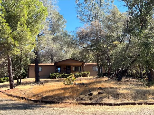 a view of a yard with large trees