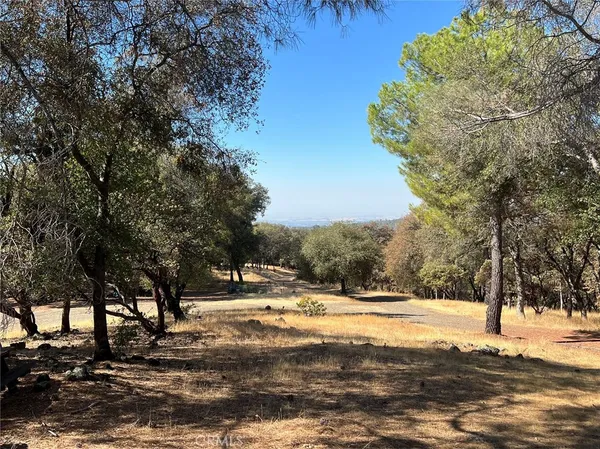 a view of a yard with trees