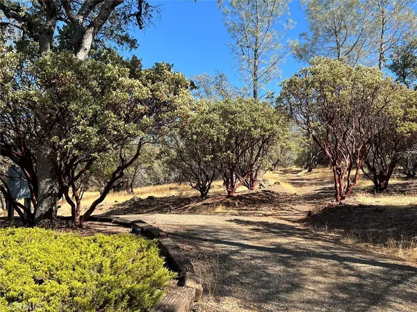 a view of road with trees