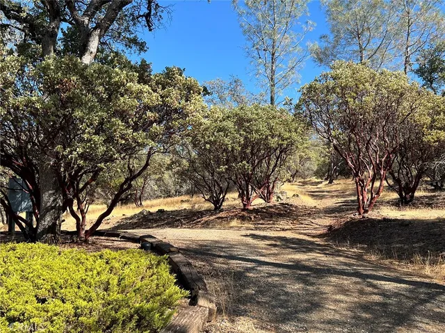 a view of road with trees