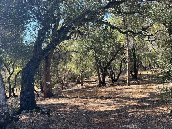 a view of a backyard of the house
