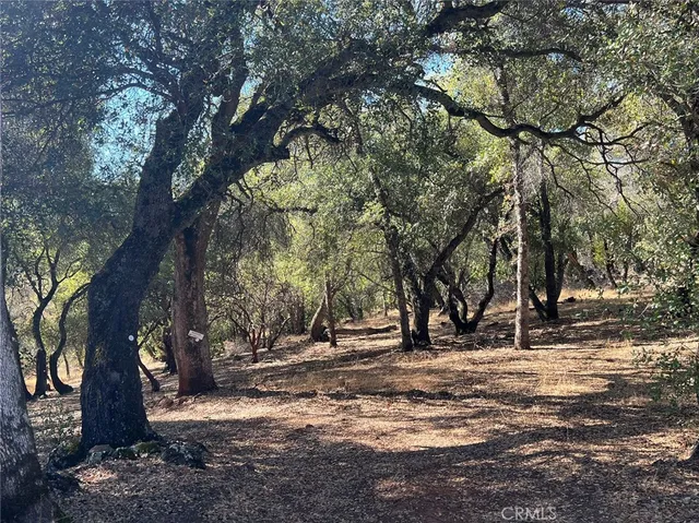 a view of a backyard of the house