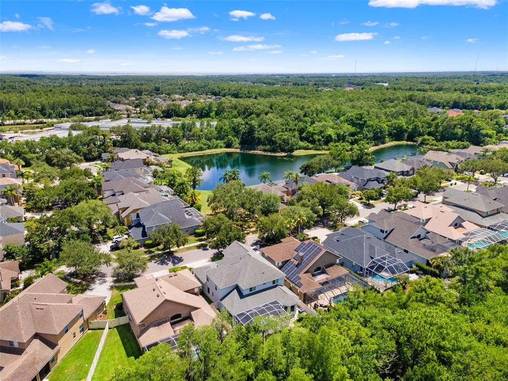 11621 Renaissance View Court Tampa, FL 33626 - Photo 32 of 32