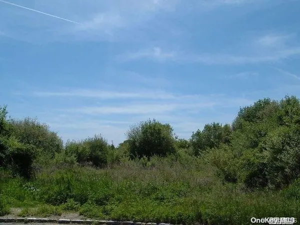 a view of a bunch of trees