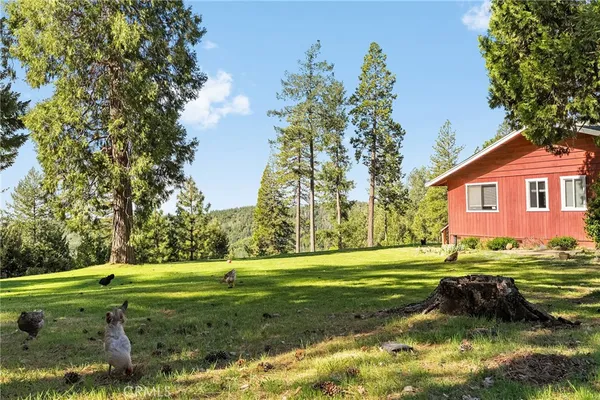 $625,000 | 15989 Katydid Lane, Magalia, CA 95954