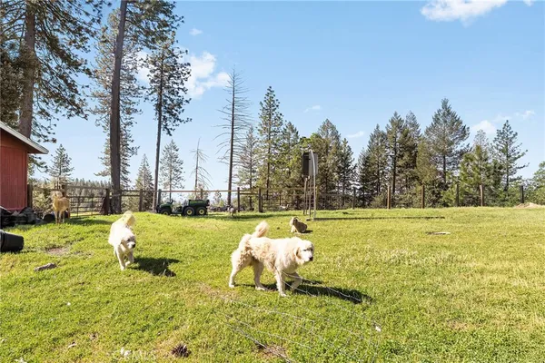 $625,000 | 15989 Katydid Lane, Magalia, CA 95954