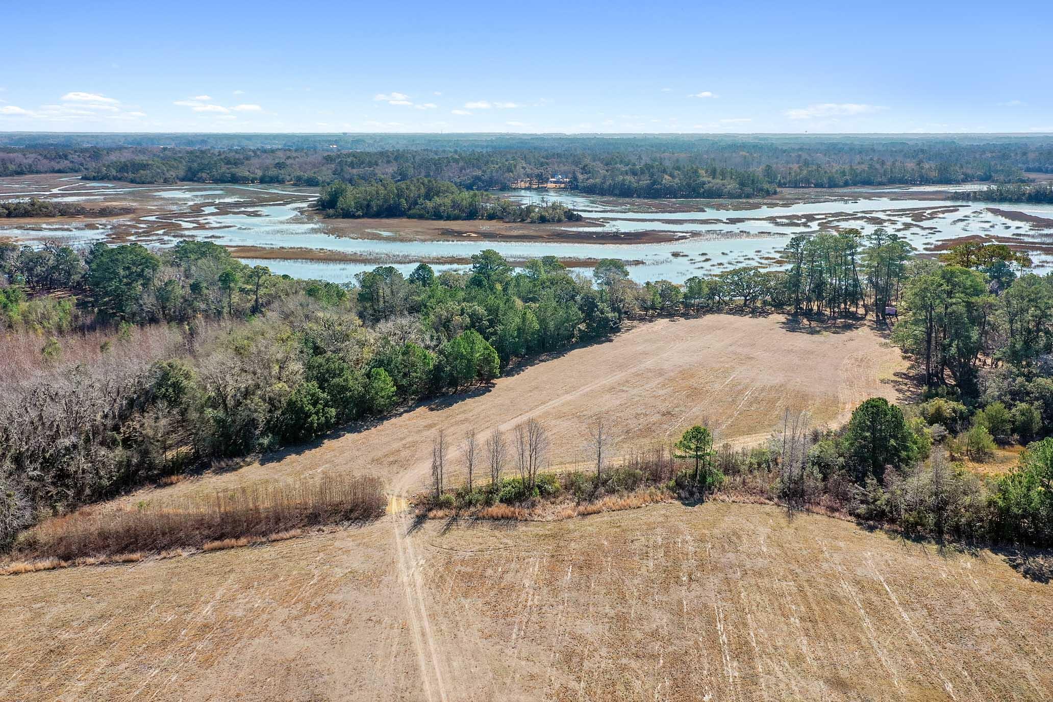 1824 Back Forty Road Wadmalaw Island, SC 29487 - Photo 11 of 62 HFL_SELKIRK 25 ACRES-57