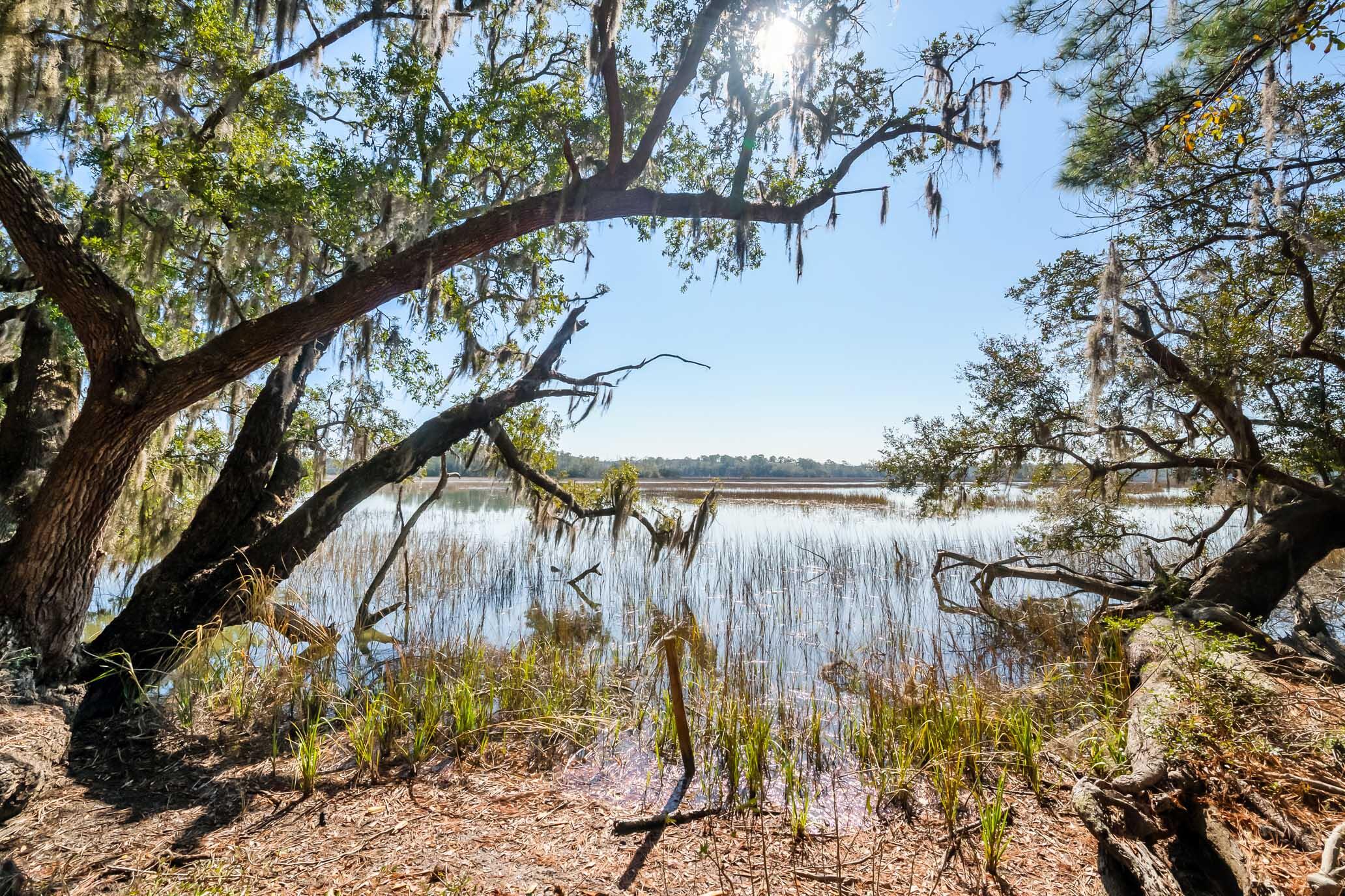 1824 Back Forty Road Wadmalaw Island, SC 29487 - Photo 15 of 62 HFL_SELKIRK 25 ACRES-2