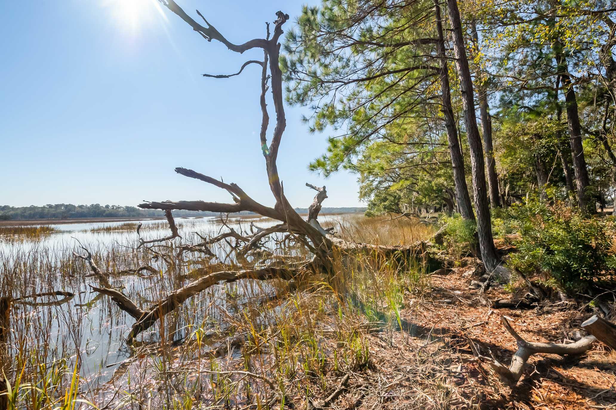 1824 Back Forty Road Wadmalaw Island, SC 29487 - Photo 16 of 62 HFL_SELKIRK 25 ACRES-4