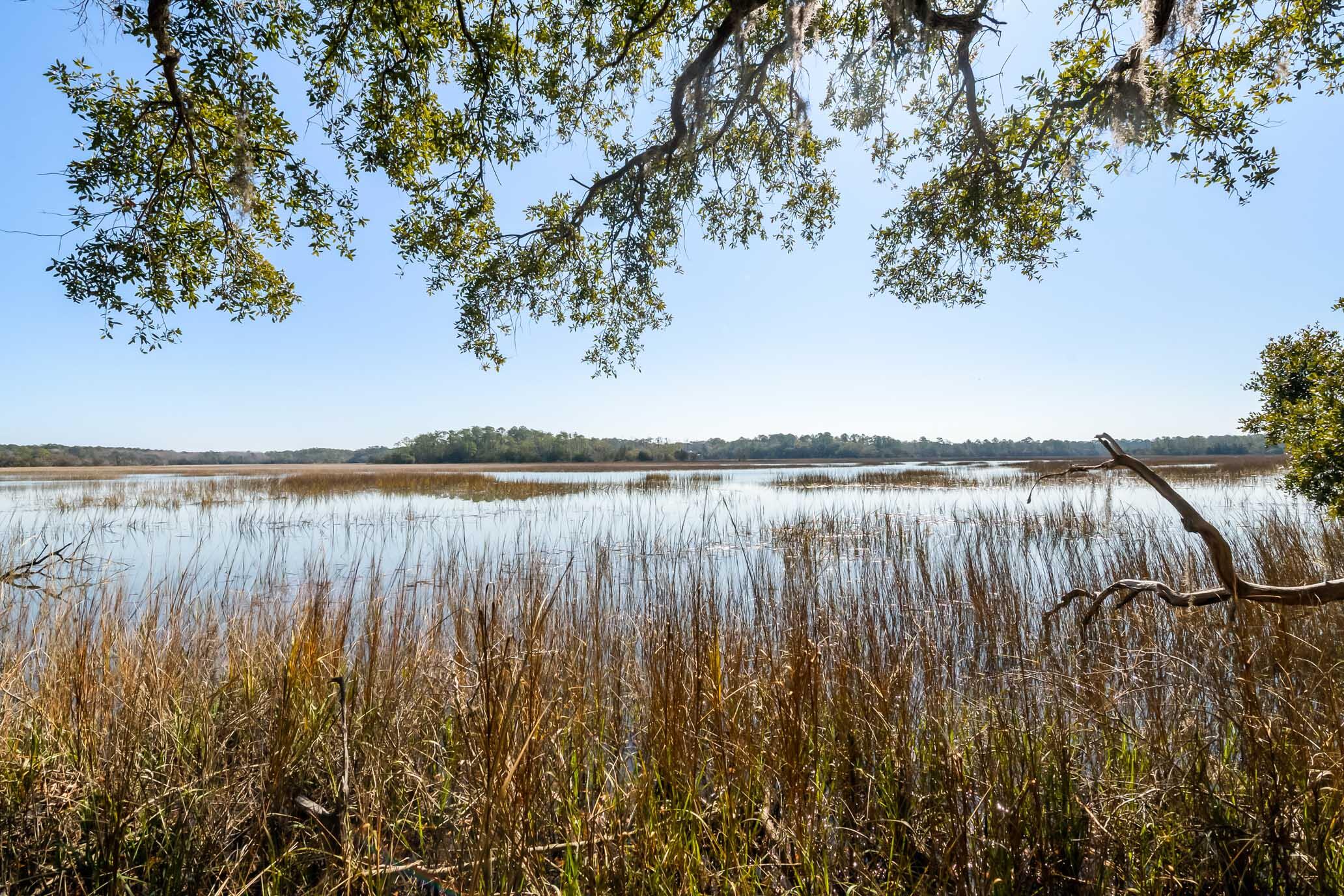 1824 Back Forty Road Wadmalaw Island, SC 29487 - Photo 17 of 62 HFL_SELKIRK 25 ACRES-6