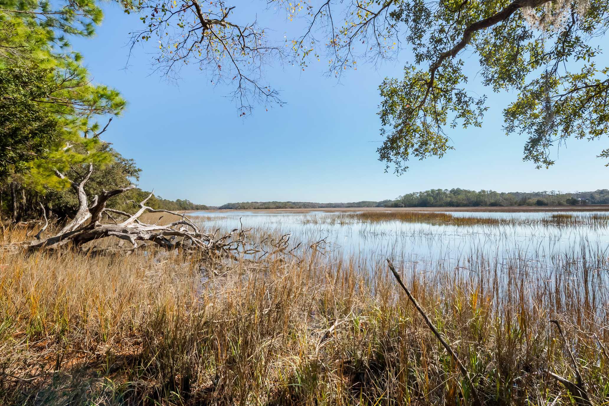 1824 Back Forty Road Wadmalaw Island, SC 29487 - Photo 18 of 62 HFL_SELKIRK 25 ACRES-7