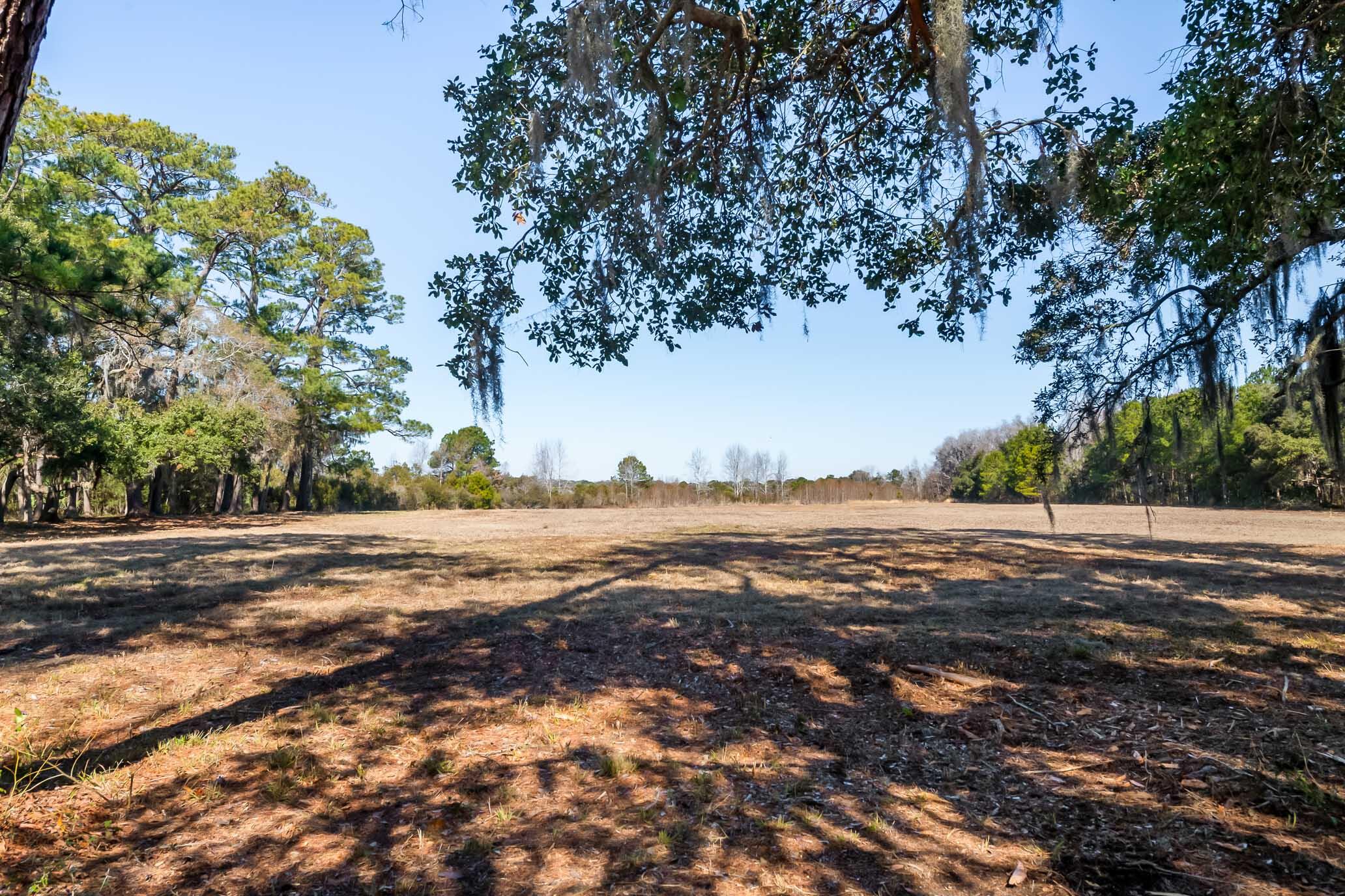 1824 Back Forty Road Wadmalaw Island, SC 29487 - Photo 22 of 62 HFL_SELKIRK 25 ACRES-13