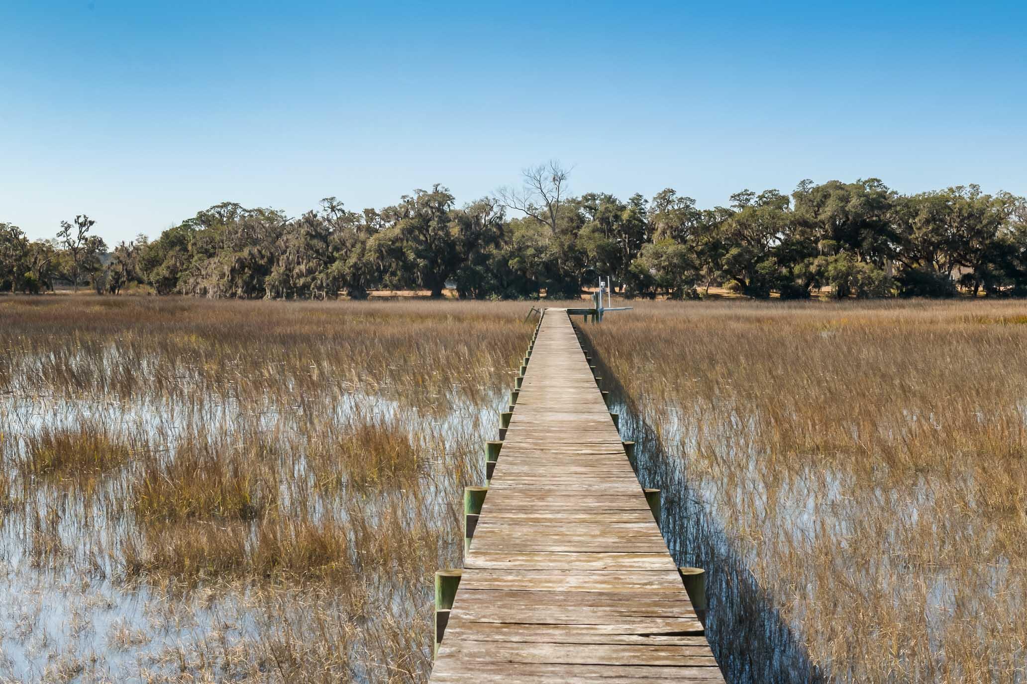 1824 Back Forty Road Wadmalaw Island, SC 29487 - Photo 24 of 62 HFL_SELKIRK 25 ACRES-17