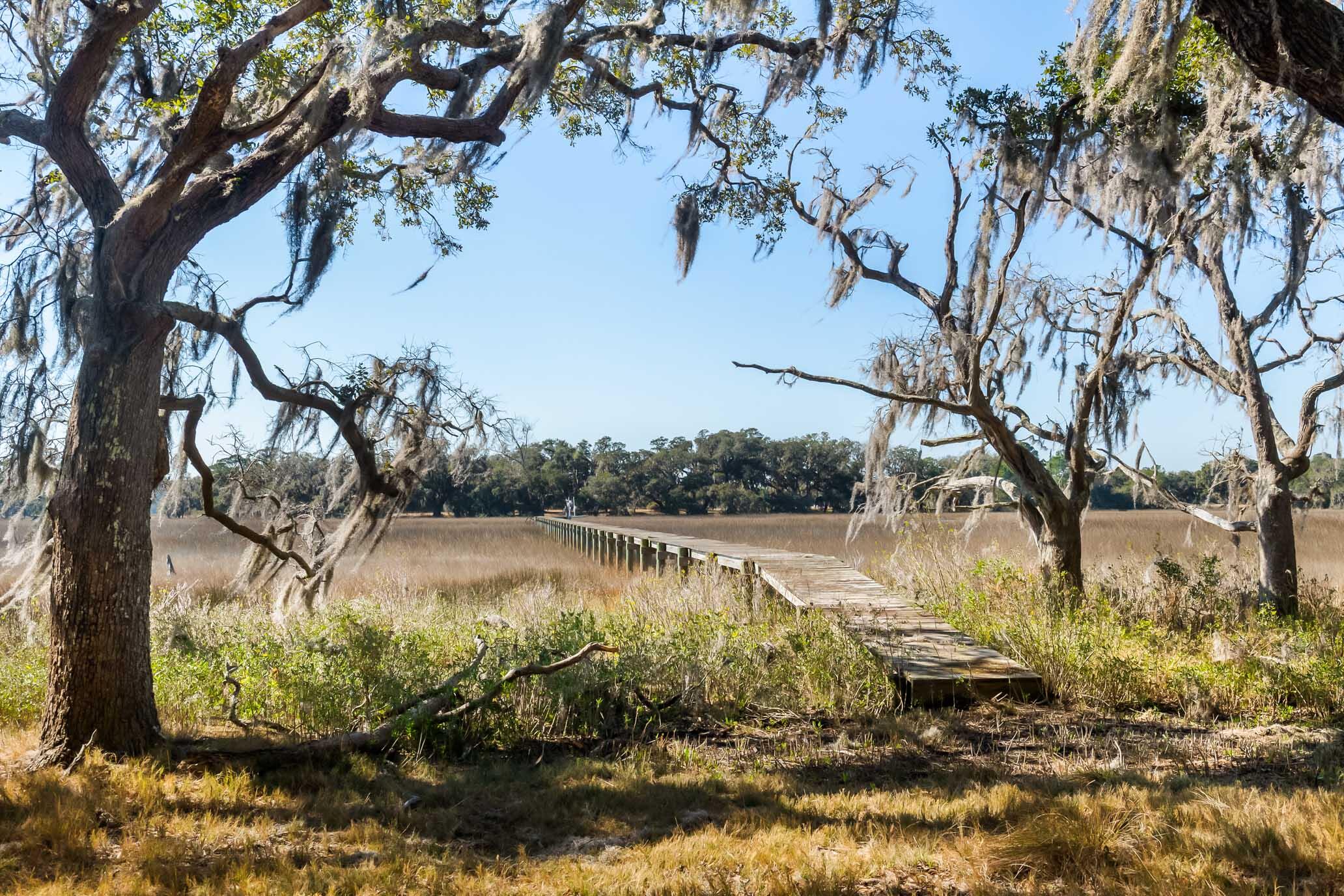 1824 Back Forty Road Wadmalaw Island, SC 29487 - Photo 25 of 62 HFL_SELKIRK 25 ACRES-18